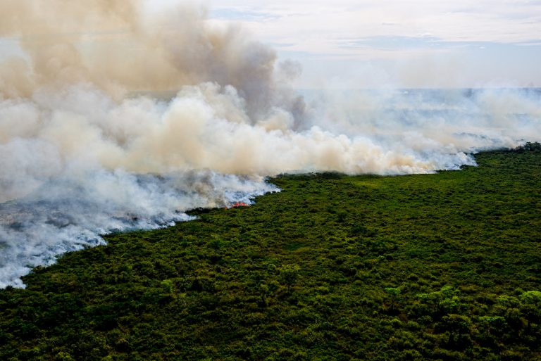 Nova lei estabelece princípios e diretrizes para a proteção e uso sustentável do Pantanal nova-lei-estabelece-principios-e-diretrizes-para-a-protecao-e-uso-sustentavel-do-pantanal