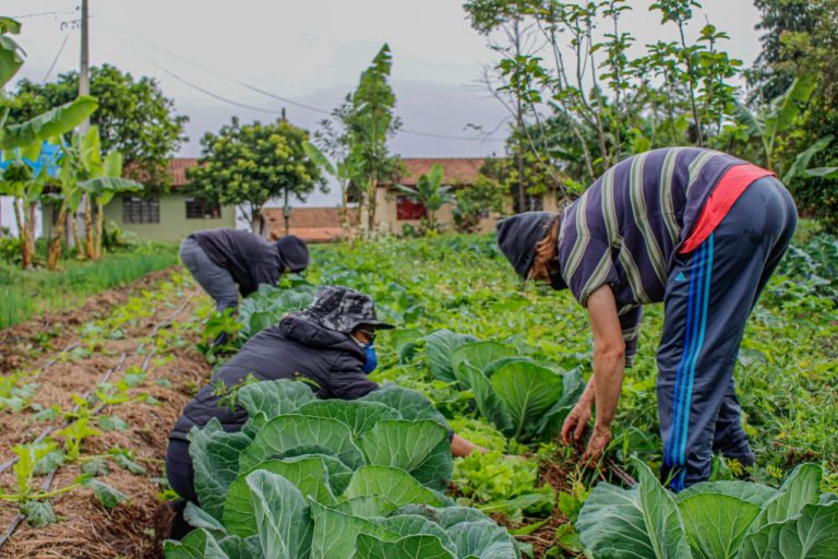 Sancionada lei que amplia acesso de agricultores familiares ao Garantia-Safra sancionada-lei-que-amplia-acesso-de-agricultores-familiares-ao-garantia-safra