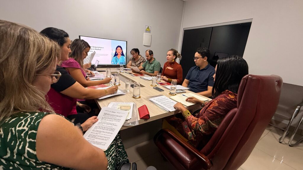 tocantins-analisa-proposta-para-protocolo-de-atendimento-de-violencia-contra-mulheres-indigenas