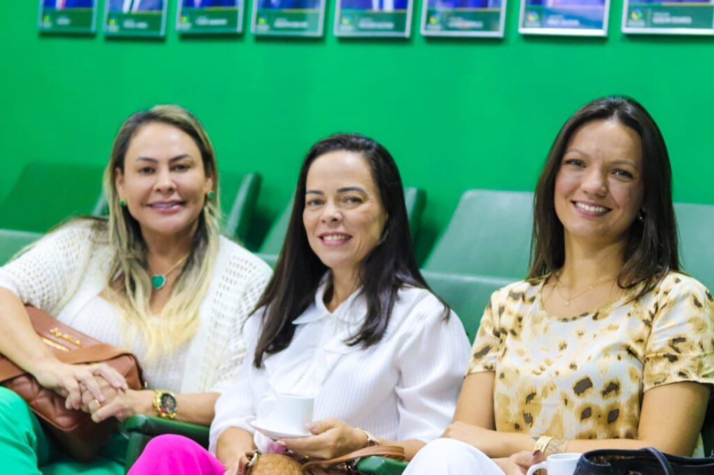 Câmara Municipal de Araguaína destaca importância de mulheres à frente da Saúde camara-municipal-de-araguaina-destaca-importancia-de-mulheres-a-frente-da-saude