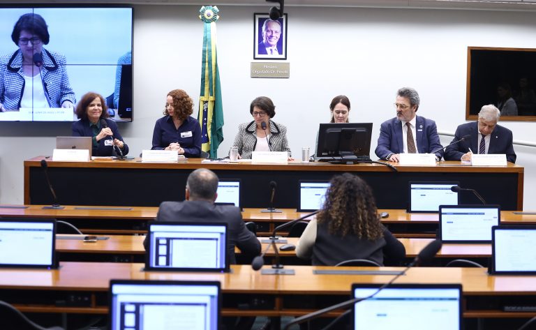 Deputados destacam importância de Agenda Transversal para Crianças e Adolescentes deputados-destacam-importancia-de-agenda-transversal-para-criancas-e-adolescentes