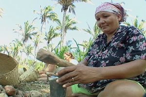 Comissão aprova projetos que reconhecem tradições locais como manifestações culturais comissao-aprova-projetos-que-reconhecem-tradicoes-locais-como-manifestacoes-culturais