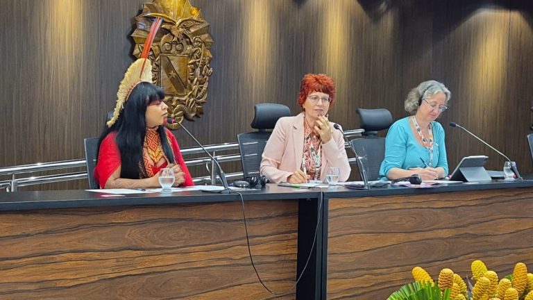 Parlamentares mulheres defendem integração entre gênero e clima em debate na COP30 parlamentares-mulheres-defendem-integracao-entre-genero-e-clima-em-debate-na-cop30