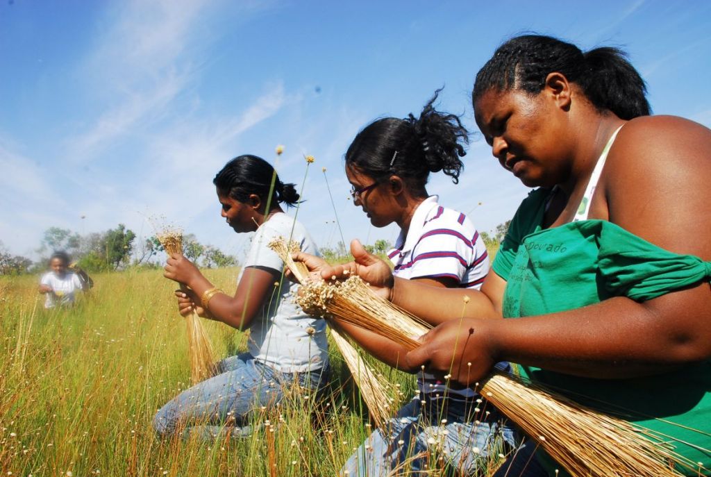 Tocantins realiza 1º Encontro de Construção da Igualdade Racial tocantins-realiza-1o-encontro-de-construcao-da-igualdade-racial