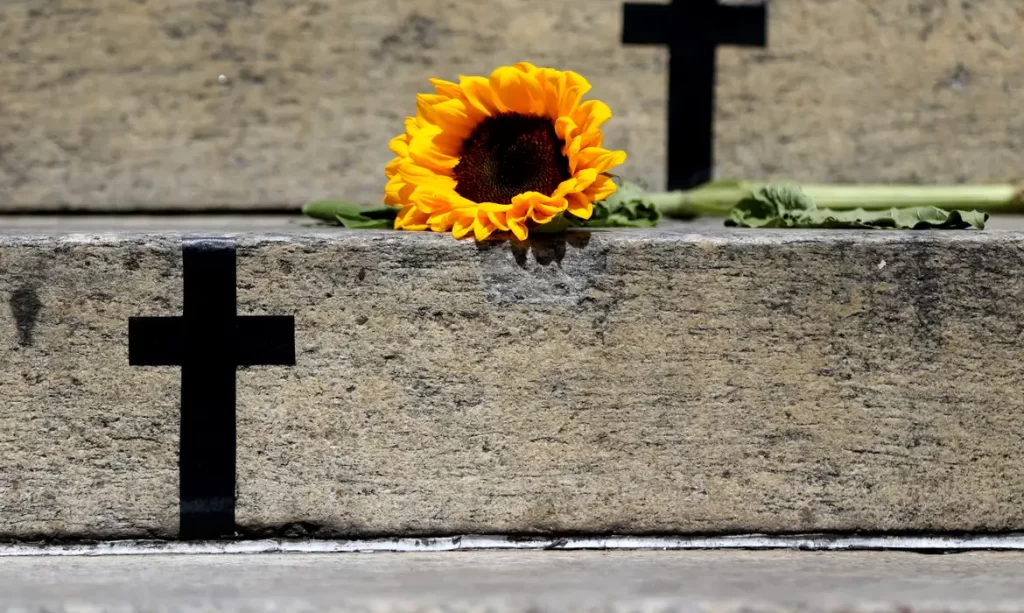 Crimes recentes mostram grave cenário de violência contra a mulher crimes-recentes-mostram-grave-cenario-de-violencia-contra-a-mulher