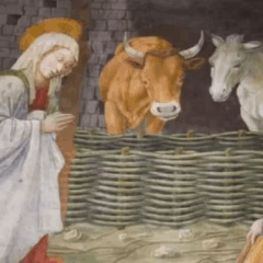 Em que dia Jesus nasceu segundo os evangelhos e como se convencionou a data de 25 de dezembro? em-que-dia-jesus-nasceu-segundo-os-evangelhos-e-como-se-convencionou-a-data-de-25-de-dezembro?