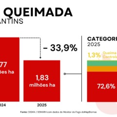 Tocantins teve redução de 21,6% no desmatamento e 34% na área queimada em 2025 tocantins-teve-reducao-de-21,6%-no-desmatamento-e-34%-na-area-queimada-em-2025