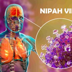 Surto na Índia: entenda o que é o vírus Nipah e por que preocupa especialistas e a OMS surto-na-india:-entenda-o-que-e-o-virus nipah-e-por-que-preocupa-especialistas-e-a-oms
