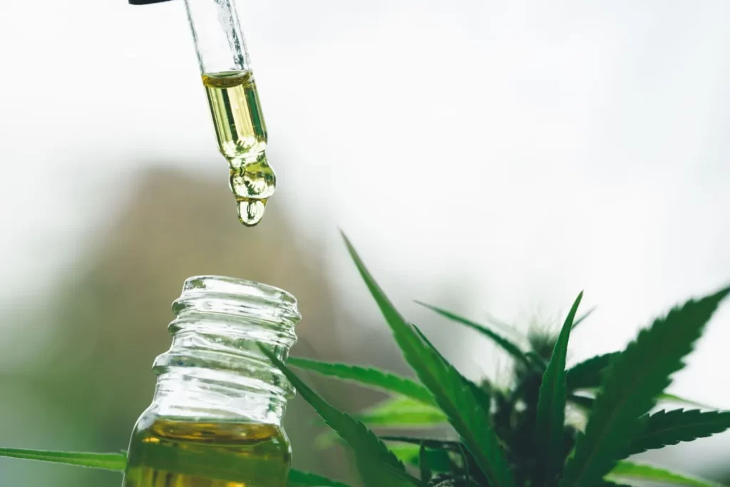 Cannabis medicinal: o que muda com as novas regras da Anvisa cannabis-medicinal:-o-que-muda-com-as-novas-regras-da-anvisa