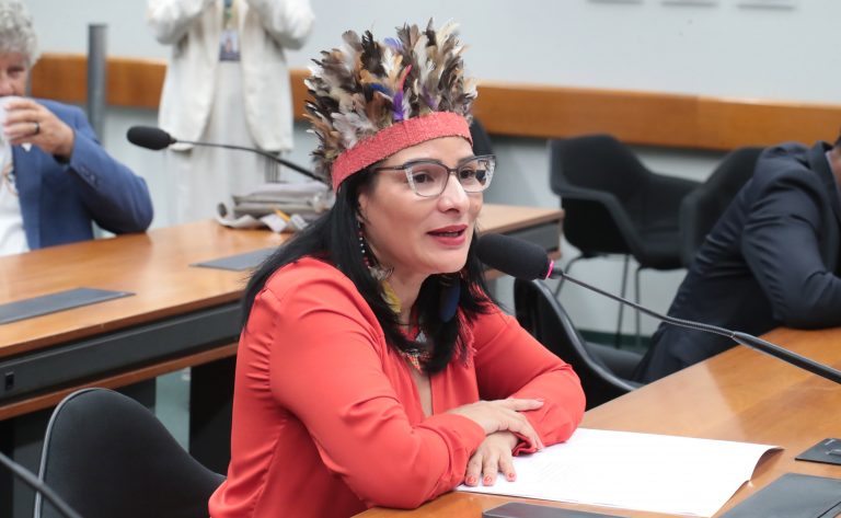 Juliana Cardoso é eleita presidente da Comissão da Amazônia juliana-cardoso-e-eleita-presidente-da-comissao-da-amazonia