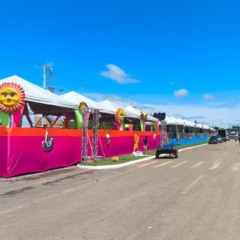 Carnaval de Gurupi começa nesta sexta com shows da banda Patchanka e Paulinho Braga carnaval-de-gurupi-comeca-nesta-sexta-com-shows-da-banda-patchanka-e-paulinho-braga