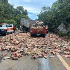 Saiba quem é o motorista de caminhão que morreu após acidente entre veículos na BR-10 saiba-quem-e-o-motorista-de-caminhao-que-morreu-apos-acidente-entre-veiculos-na-br-10