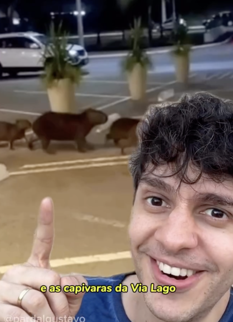 Chambaril, calor e Via Lago: humorista transforma rotina de Araguaína em vídeo bem-humorado chambaril,-calor-e-via-lago:-humorista-transforma-rotina-de-araguaina-em-video-bem-humorado