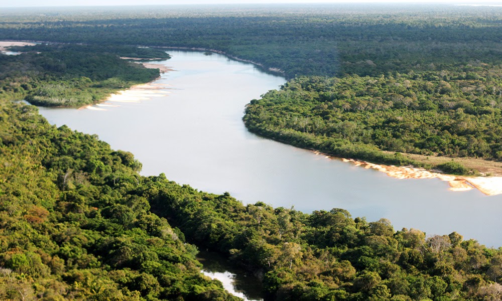Tocantins terá mais de 500 hectares de floresta recuperados com projetos do Fundo Amazônia tocantins-tera-mais-de-500-hectares-de-floresta-recuperados-com-projetos-do-fundo-amazonia