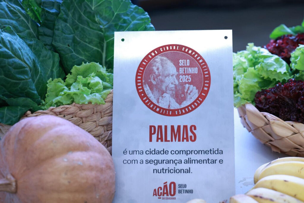 araguaina-e-premiada-com selo-ouro-de alfabetizacao-pelo-segundo-ano-consecutivo 