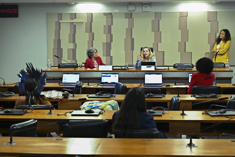 Violência contra mulheres negras e indígenas mobiliza debate no Congresso violencia-contra-mulheres-negras-e-indigenas-mobiliza-debate-no-congresso