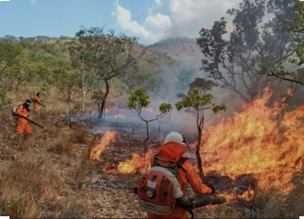 Deputada Claudia Lelis propõe ação preventiva para reforçar combate às queimadas no Tocantins deputada-claudia-lelis-propoe-acao-preventiva-para-reforcar-combate-as-queimadas-no-tocantins