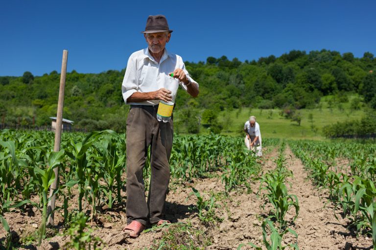 Lei dispensa multa para contar tempo de trabalho rural anterior a 1991 na aposentadoria lei-dispensa-multa-para-contar-tempo-de-trabalho-rural-anterior-a-1991-na-aposentadoria