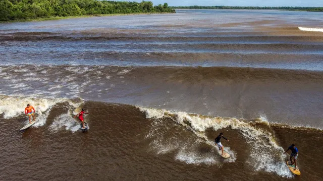 Surfistas pegam onda na pororoca no Pará surfistas-pegam-onda-na-pororoca-no-para