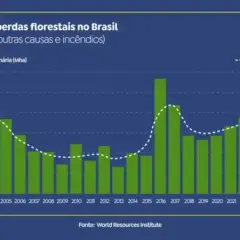 Brasil reduz em 42% perdas florestais em 2025, aponta estudo brasil-reduz-em-42%-perdas-florestais-em-2025,-aponta-estudo