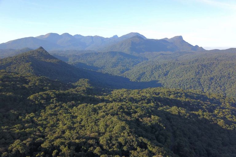 Comissão debate papel da Mata Atlântica na adaptação às mudanças climáticas comissao-debate-papel-da-mata-atlantica-na-adaptacao-as-mudancas-climaticas