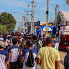 Agrotins recebeu mais de 220 mil visitantes este ano, diz governo agrotins-recebeu-mais-de-220-mil-visitantes-este-ano,-diz-governo