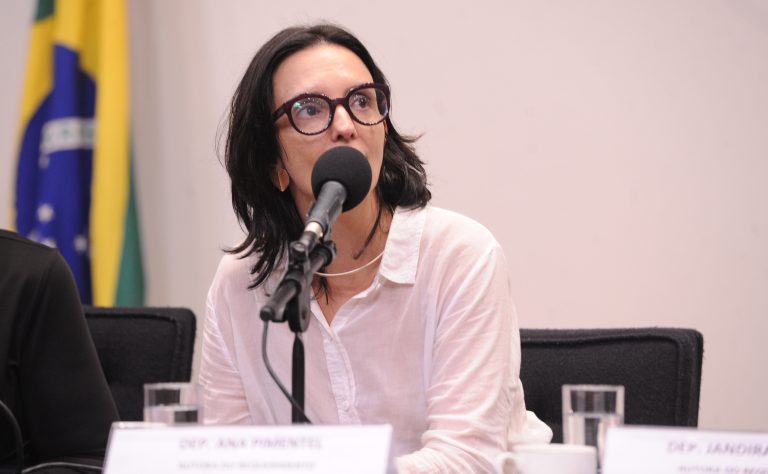 Comissão debate proteção a produtores rurais afetados pelas chuvas na Zona da Mata mineira comissao-debate-protecao-a-produtores-rurais-afetados-pelas-chuvas-na-zona-da-mata-mineira