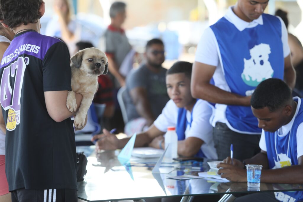 palmas-realiza-acao-gratuita-de-saude-animal-com-350-atendimentos-para-caes-neste-sabado 