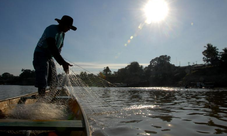Nova lei cria Semana Nacional de Promoção da Pesca Artesanal nova-lei-cria-semana-nacional-de-promocao-da-pesca-artesanal