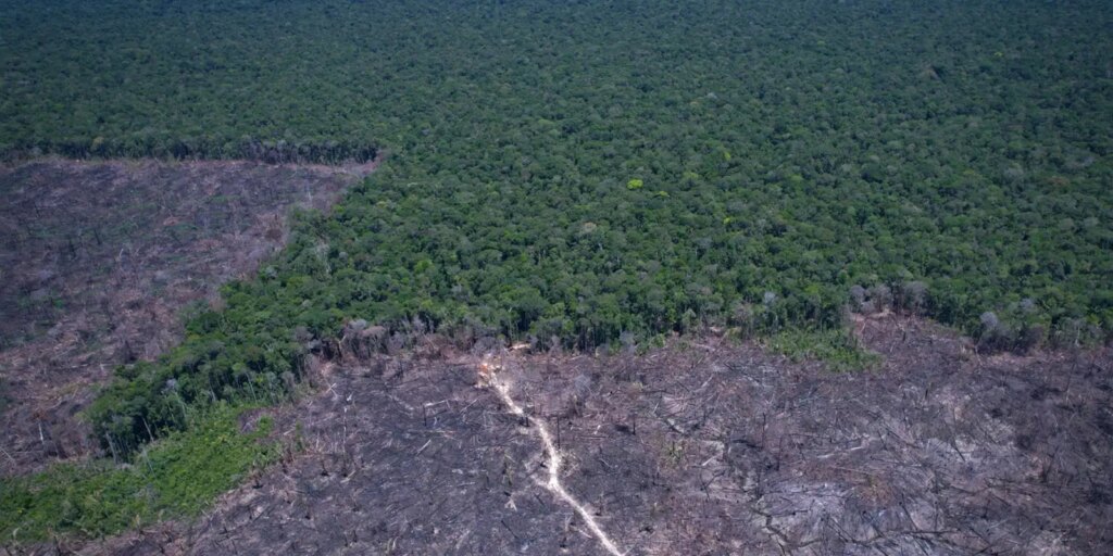 Países discutem solução para combustível fóssil e desmatamento ilegal paises-discutem-solucao-para-combustivel-fossil-e-desmatamento-ilegal