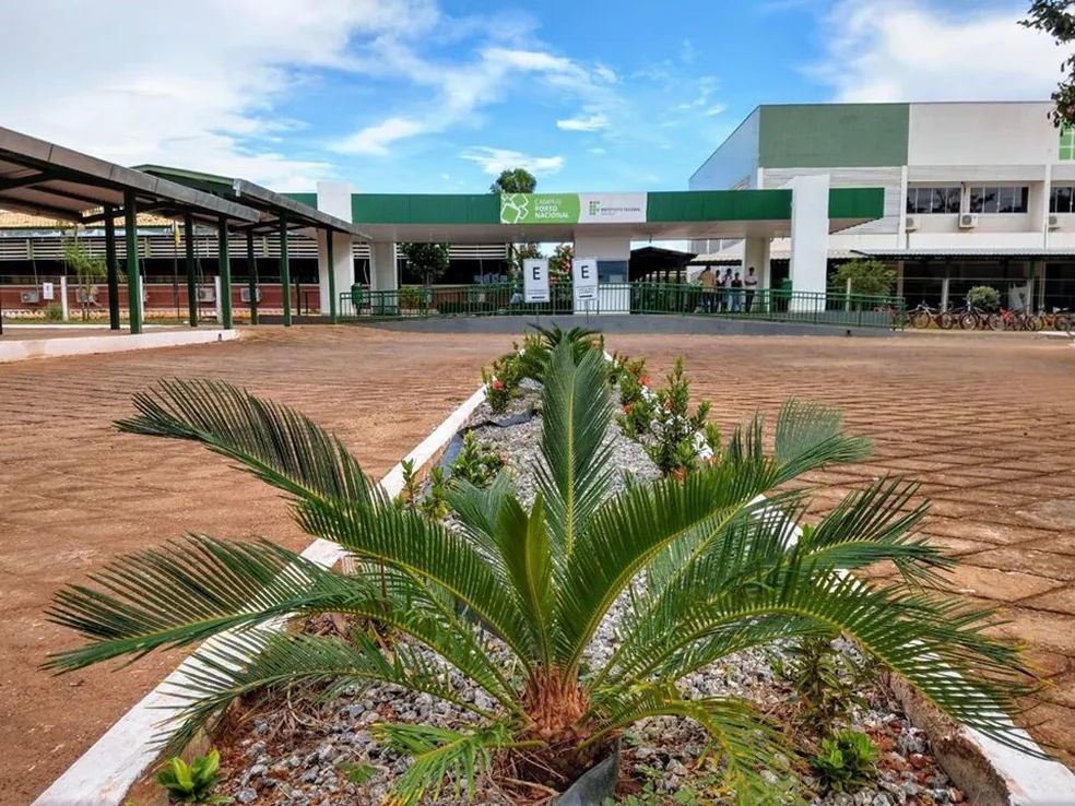 Tocantins tem seleções abertas para professores com salários de até R$ 8,9 mil; confira tocantins-tem selecoes-abertas-para-professores-com-salarios-de-ate-r$-8,9-mil;-confira