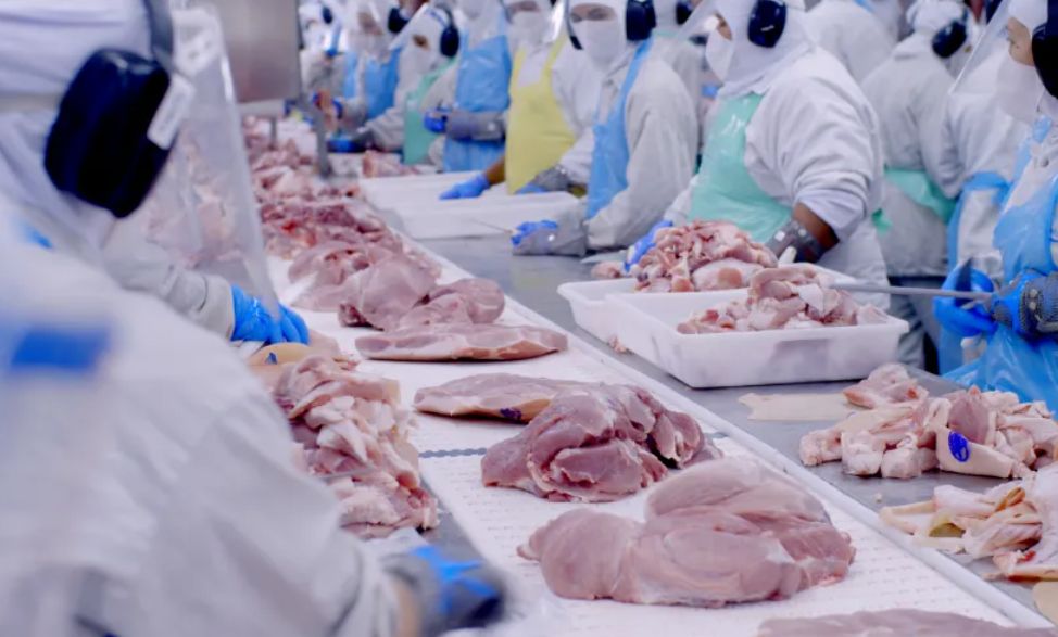 Embargo da União Europeia e limite da China pressionam exportações de carne brasileira embargo-da-uniao-europeia-e-limite-da-china-pressionam-exportacoes-de-carne-brasileira
