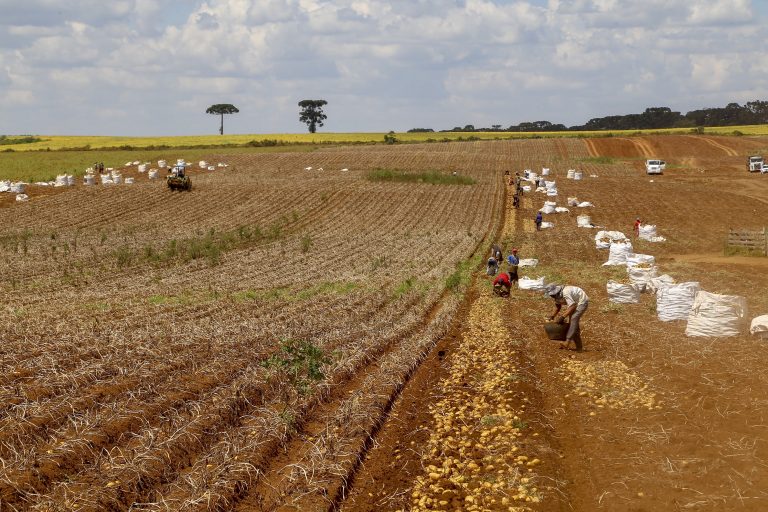Comissão debate regras para contratação de trabalhador agrícola safrista comissao-debate-regras-para-contratacao-de-trabalhador-agricola-safrista
