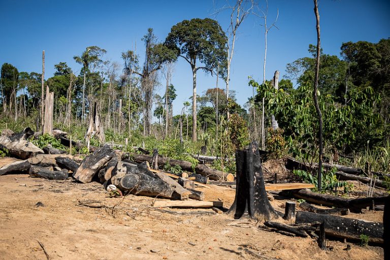 Comissão discute crimes ambientais, agronegócio e fundos de investimento; participe comissao-discute-crimes-ambientais,-agronegocio-e-fundos-de-investimento;-participe