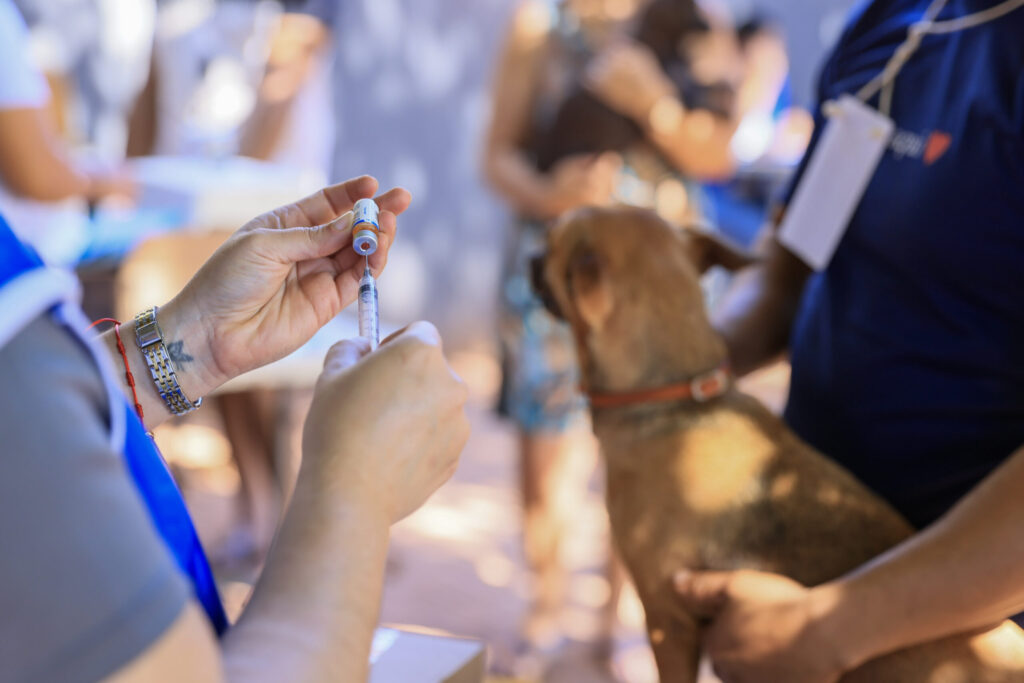 julho-dourado-reforca-cuidados-com-a-saude-animal-e-a-prevencao-de-zoonoses