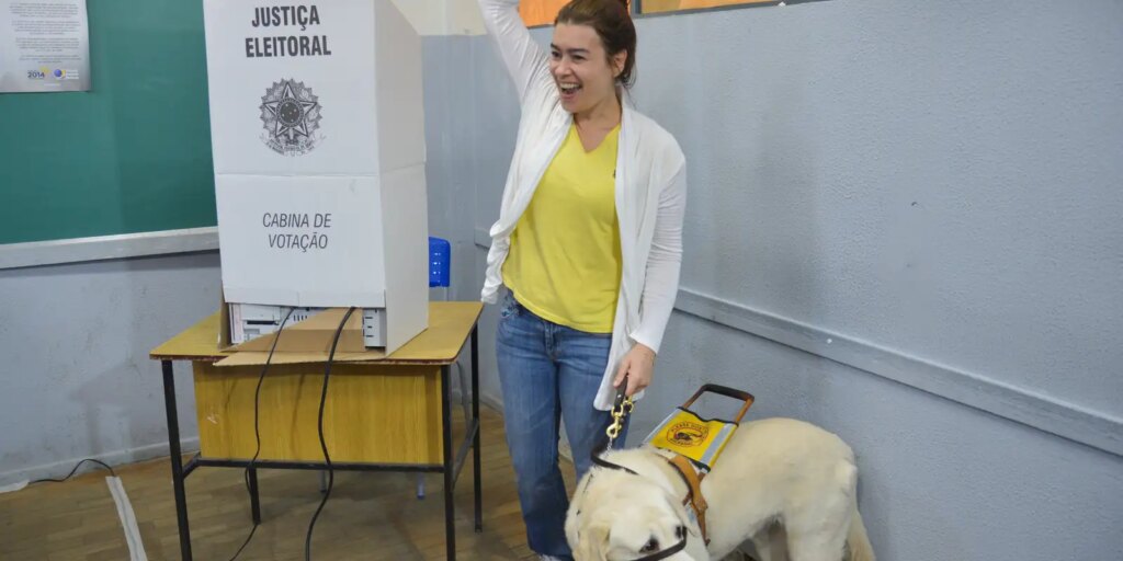 Brasil tem quase 2 milhões de eleitores com deficiência, aponta TSE brasil-tem-quase-2-milhoes-de-eleitores-com-deficiencia,-aponta-tse