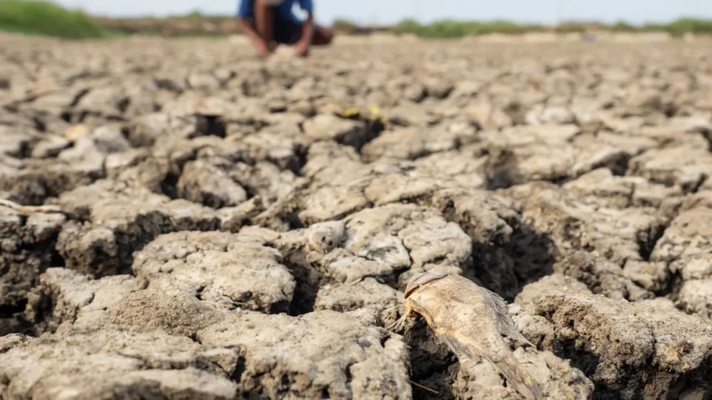 agencia-climatica-preve-90%-de-chance-de-el-nino-muito-forte