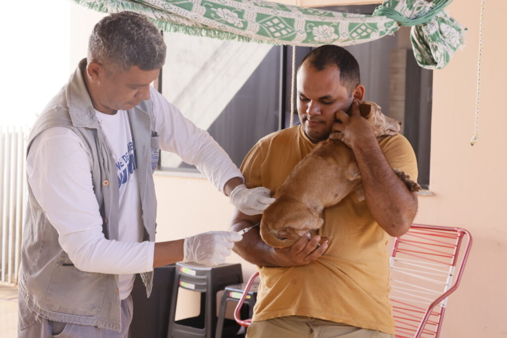 Palmas intensifica combate à leishmaniose com encoleiramento e vacinação de cães e gatos palmas-intensifica-combate-a-leishmaniose-com-encoleiramento-e-vacinacao-de-caes-e-gatos
