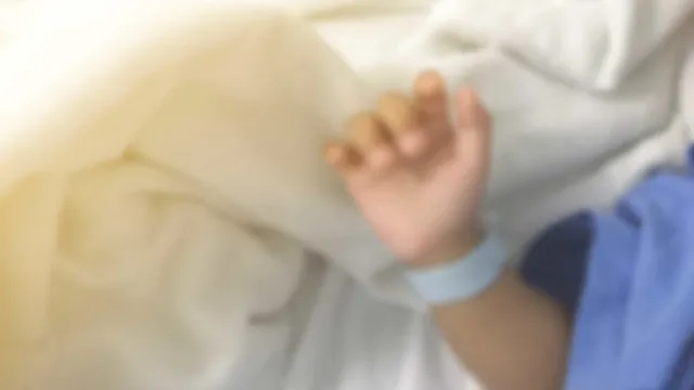 Médica-veterinária é atacada por cachorro do Senado e está em estado grave na UTI medica-veterinaria-e-atacada-por-cachorro-do-senado-e-esta-em-estado-grave-na-uti