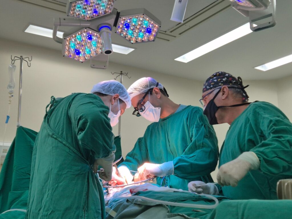 Setembro Verde: Fundação Pró-Rim convida famílias a conversarem sobre doação de órgãos setembro-verde:-fundacao-pro-rim-convida-familias-a-conversarem-sobre-doacao-de-orgaos
