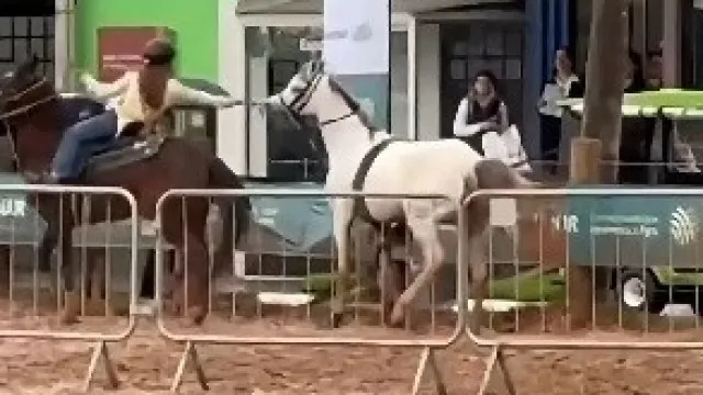 Cavalo desgovernado é controlado por menina de 12 anos no RS cavalo-desgovernado-e-controlado-por-menina-de-12-anos-no-rs