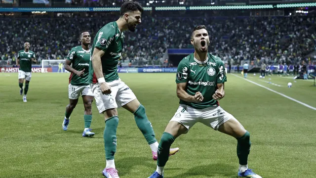 Ameaçado pelo Flamengo, Palmeiras visita o Botafogo no Rio para manter liderança ameacado-pelo-flamengo,-palmeiras-visita-o-botafogo-no-rio-para-manter-lideranca