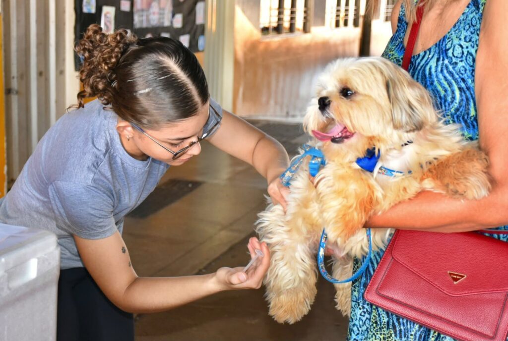 Mais de 4.700 cães e gatos foram imunizados contra a raiva durante dia D em Gurupi mais-de-4.700-caes-e-gatos-foram-imunizados-contra-a-raiva-durante-dia-d-em-gurupi